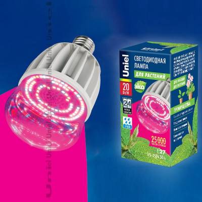 Лампа светодиодная Uniel LED-M80 E27 20Вт K LED-M80-20W/SP/E27/CL ALS55WH картон