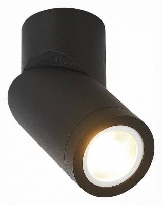 Светильник на штанге ST-Luce ST650 ST650.402.01 фото