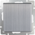 WL02-SW-1G-2W / Выключатель одноклавишный проходной (глянцевый никель) фото