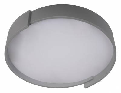 Накладной светильник Loft it Coin 10200 Grey фото