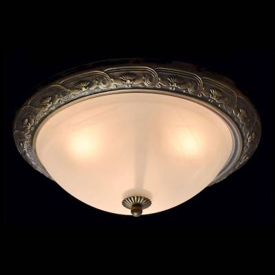 Накладной светильник MW-Light Ариадна 450015703 фото