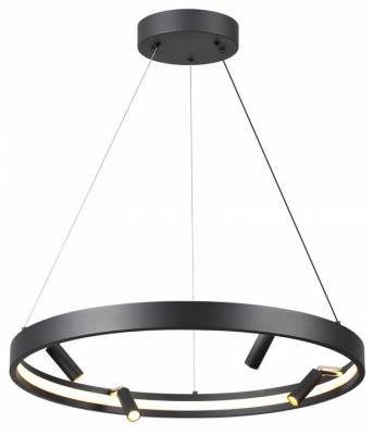 Подвесная люстра Odeon Light Fonda 4317/58L фото