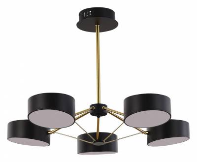 Люстра на штанге EVOLUCE Valle SLE6005-402-05 фото
