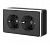 WL15-02-03/ Розетка двойная с заземлением Gallant (черный/хром) фото