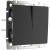 WL08-SW-2G-2W/Выключатель двухклавишный проходной (черный матовый) фото