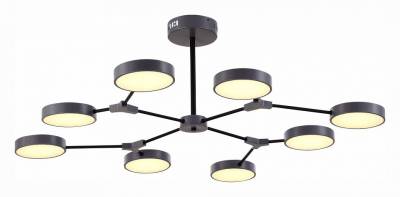 Люстра на штанге EVOLUCE Monta SLE6003-702-08 фото