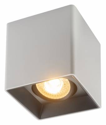 Накладной светильник Denkirs DK3020WB DK3030-WB фото