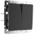 WL08-SW-2G/Выключатель двухклавишный (черный матовый) фото