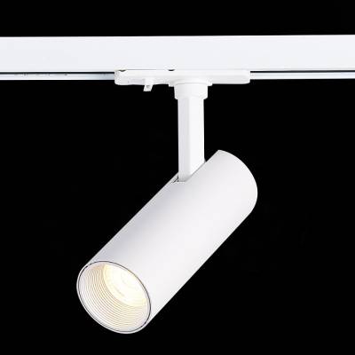 Светильник на штанге ST-Luce Mono ST350.536.10.36 фото