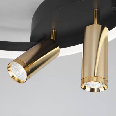 Накладной светильник Eurosvet Luminari 90247/3 черный/золото Smart фото