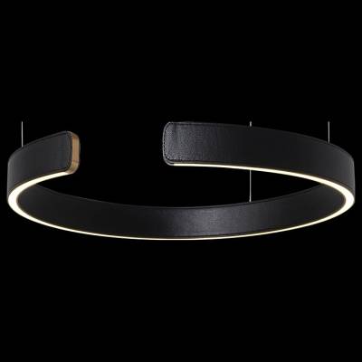 Подвесной светильник Loft it Ring 10025/400 Black фото