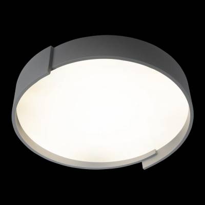 Накладной светильник Loft it Coin 10200 Grey фото
