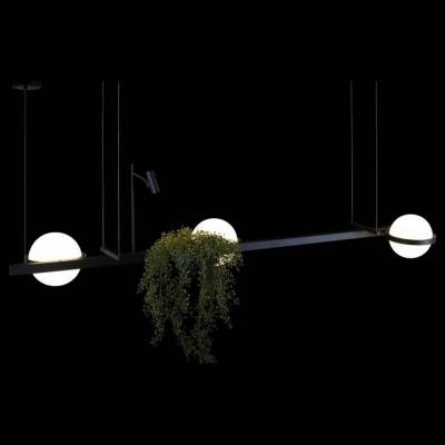 Подвесной светильник Loft it Jardin 10121/C фото
